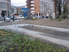 Portofoliu Casrom Garden