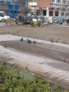 Portofoliu Casrom Garden