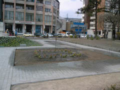 Portofoliu Casrom Garden
