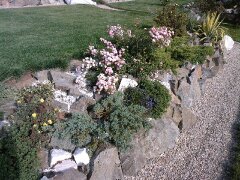 Portofoliu Casrom Garden