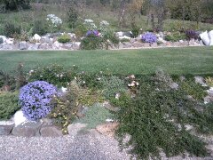 Portofoliu Casrom Garden