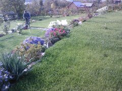 Portofoliu Casrom Garden