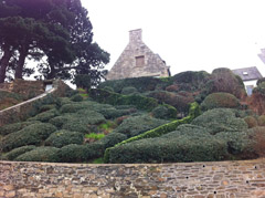 Portofoliu Casrom Garden