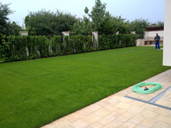 Portofoliu Casrom Garden